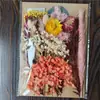 Bolsa de Materiales DIY Flor Seca Inmortal Tuanjian Marco de Fotos Pintura Tarjeta de Felicitación Tuanfan Ramo Pequeño Hecho a Mano Flor Real Bolsa de Flores en Relieve