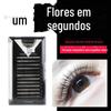 Um segundo enxerto de cílios floridos auto-enxertia cílios automática camélia floração novato disponível Qiao Mu Fang denso
