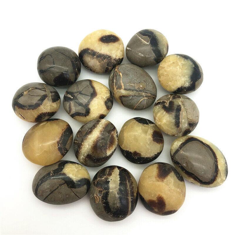 dragon septarian palm stone (4