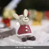 Zakka mira al cielo estrellado micro paisaje de animales pequeños decoración carnosa pequeños adornos artesanías de resina pequeños regalos