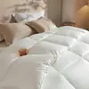 Edredom de inverno de algodão com pena de grau A para mães e bebês, edredom espacial, edredom espessado com controle de temperatura para o inverno, edredom estilo hotel para primavera e outono, edredom de presente