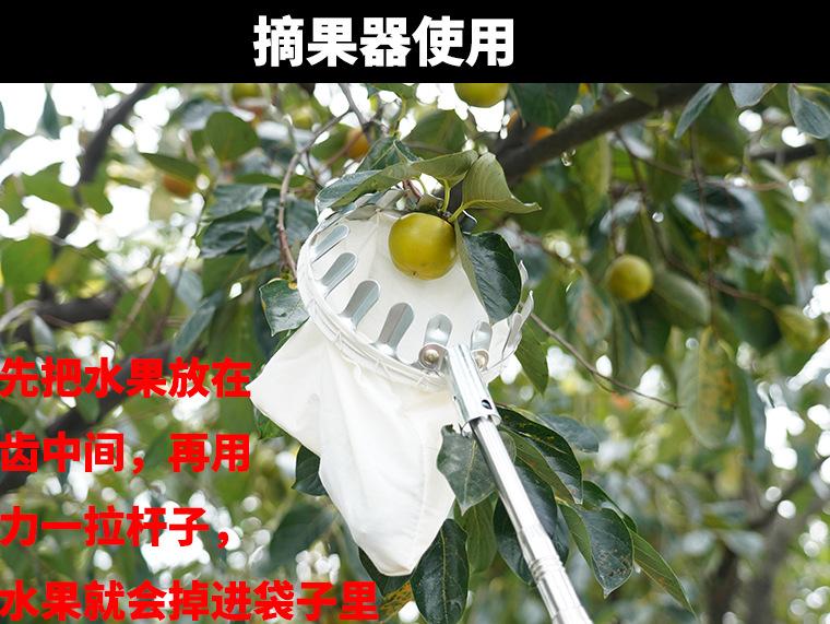 主图_2(1).jpg