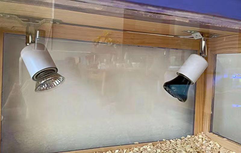 微信图片_20220511100727