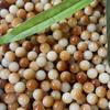 Cuentas Bodhi naturales auténticas de carbón quemado de 10 mm, material antiguo, Seiko pulido, accesorios de joyería DIY, cuentas de Buda, pulseras de cuentas