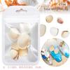 Serie Oceánica Manicura Rodajas de Concha Natural Rodajas de Abulón Estrella de Mar Caracola Playa de Verano Joyería DIY Mayoreo