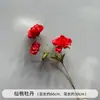 Flores de Casamento, Arranjos de Flores Vermelhas, Flores para Decoração de Casamento, Decorações de Teto para Salão de Casamento, Arranjos de Flores de Chão