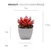 Em estoque simulação carnuda vermelha tamanho pequeno flor de gema em vaso enfeites de mesa plantas verdes pequenos bonsai TEMU simulação planta