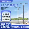 Fabricante de Postes de Iluminação Pública de Rua com Alimentação da Rede Elétrica LED, Luminárias de Rua de Braço Duplo, Postes Principais de Iluminação Urbana, Luminárias de Rua Rurais, Reforma de Iluminação para Engenharia Municipal