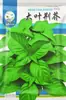 Sementes de Nepeta de Folha Grande Atacado Sementes de Colza para Varanda em Vaso Sementes de Nepeta de Henan Horta de Quintal Sementes de Legumes