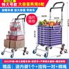 Carrito de compras doméstico, carrito pequeño, carrito de compras silencioso, carrito plegable con cesta para verduras, carrito portátil para personas mayores