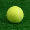 Entrenamiento de tenis para principiantes, pelotas de tenis genuinas, alta elasticidad y duraderas, venta al por mayor directamente del fabricante, se puede imprimir con un logotipo