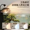 Gabinete para Acuario, Tanque de Corriente Integrado, Acuario Doméstico para Sala de Estar, Kit Completo de Paisajismo Ecológico Pequeño, Acuario de Cristal con Filtro Lateral