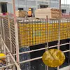 Folha Âncora de Bloqueio em V de PEAD Resistente à Corrosão Fábrica de Origem