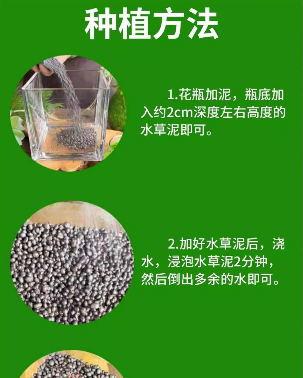 d4d8b4f5-f7e7-4189-a22a-ec626861f2a2.jpe