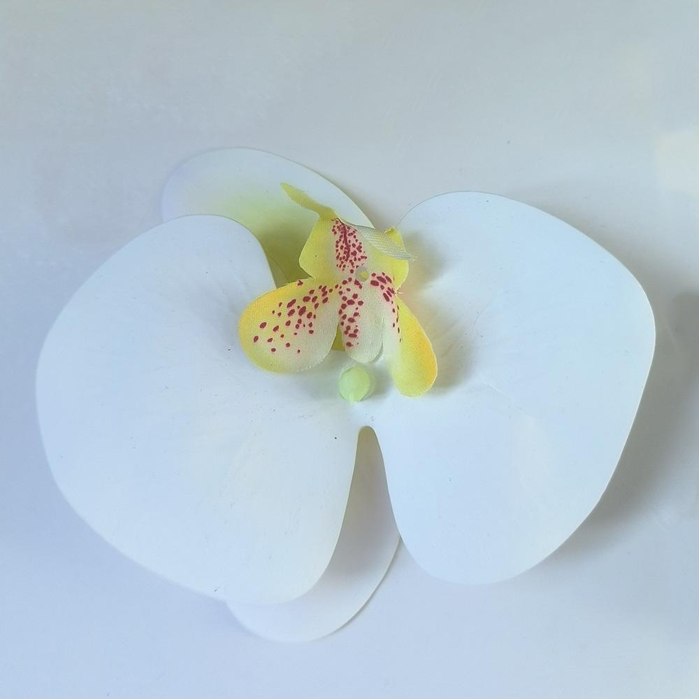 SKU图_白色蝴蝶兰 高质量胶片 （11cm）(最好效果)