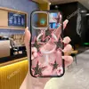 Comércio Exterior Mais Vendido High-End Estampa de Leopardo Padrão Estrela Capa Magnética para Celular para Apple 17 Pro, Capa Protetora de Acrílico para 16