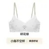 Sujetador de Encaje Floral Pequeño con Soporte Suave para Mujer, Reúne Busto Pequeño, Anti-Caída, Control Lateral del Busto, Cómodo, Sin Costuras, Sujetador para Adolescentes