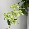 Orquídea Chama Artificial 3D Parede de Fundo Arranjo de Flores Decoração Casamento Roxo Bauhinia Orquídea Chama Flor Artificial Falsa