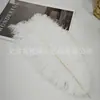 Venda Direta da Fábrica Penas de Avestruz 15-75cm Dia do Professor Performance de Palco Penas Brancas Casamento Decoração DIY Atacado