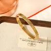 Pulsera de Acero Inoxidable con Incrustaciones de Piedra Europea y Americana Transfronteriza para Mujer Pulsera de Diseño Simple Pulsera Pulsera Hebilla de Conservación de Color con Sentido Avanzado