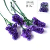 Flores Secas e Frutas Secas Material DIY Pinhas de Algodão Canela Limão Adereços de Tiro Jardim de Infância Pacote de Material Artesanal DIY