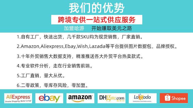 模板新新