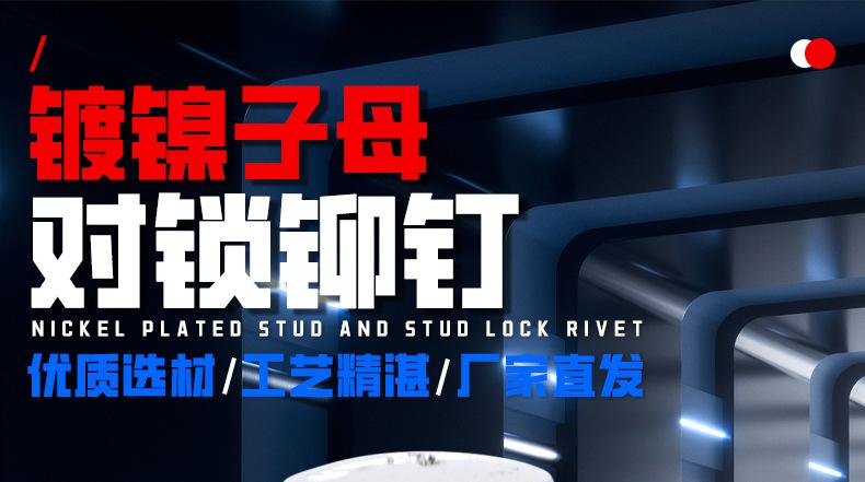 镀镍子母对锁铆钉_01_01.jpg