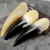 Raspagem de Chifre, Placa de Raspagem para Massagem de Corpo Inteiro, Tubo de Chifre para Massagem de Pontos de Acupuntura e Beleza Facial