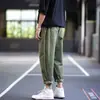 Calça Harem Estilo Japonês Masculina Solta Estudante Casual Americano Calça de Perna Larga Primavera e Verão 2024 Calça Cargo Calça Reta para Homem
