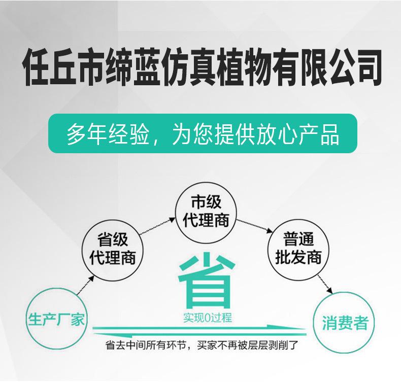套1版_09