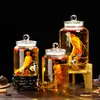 Garrafa de Vinho de Vidro para Uso Doméstico, Pote Selado de Alta Qualidade para Infusão de Ginseng e Vinho Medicinal, Recipiente de Vinho com Bico, Garrafa de Vinho Especial