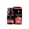 Aceite esencial de aromaterapia directo de fábrica, aceite esencial de lavanda y rosa, humidificador, piedra perfumada de yeso, aceite esencial soluble en agua.