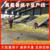 Equipo de secado Huangshukui, línea de secado totalmente automática para hierbas medicinales de flor de loto amarilla, secador Huangshukui a gran escala