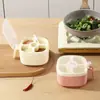 Pote de Sal para Temperos de Plástico Leve de Quatro Sabores Transfronteiriço à Prova de Poeira Caixa de Temperos Conjunto Doméstico Atacado Caixa de Temperos para Cozinha com Tampa