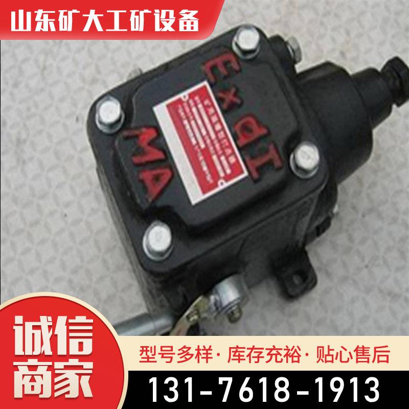 矿用隔爆型打点器