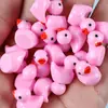 Transfronterizo makaron diy accesorios hechos a mano accesorios de resina adornos de micro paisaje paisajismo de musgo miniatura patito de color