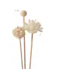 Aromaterapia Difusor de Varilla Volátil Varilla Perfume Agua de Tocador Se Puede Usar en Interiores para Fragancia Duradera Varilla de Fragancia de Aromaterapia sin Fuego Fibra