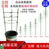 Suporte de Flores, Suporte de Flores Rosa, Vaso de Plantas, Haste de Suporte para Flores de Interior, Suporte de Plantas Verdes para Jardinagem, Treliça para Plantas Trepadeiras, Planta Verde para Sala de Estar