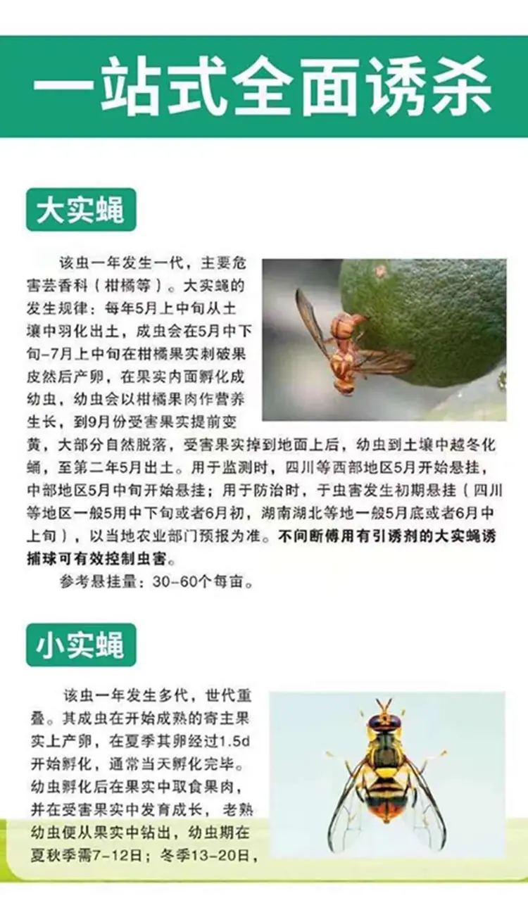 详情6.jpg