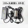 Bomba de agua eléctrica de motor sin escobillas, bomba sumergible de 12V, bomba de riego de vegetales, bomba diésel de 24V, bomba dosificadora