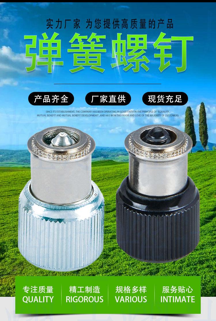 松不脱12_01.jpg