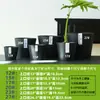 Maceta Pequeña de Suculentas para Escritorio Maceta de Plástico Resina Ecológica Maceta Base para Cactus Maceta Simple Maceta para Flores Phalaenopsis