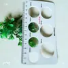 Yantai Shandong Pinza de Plástico para Cerezas Grandes Regla Medidora para Arándanos Calibrador Estándar Regla de Diámetro de Fruta Calibración de Tamaño de Fruta