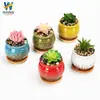 Maceta Suculenta Interior Escritorio Balcón Decoración Exportación Transfronteriza Jardinería Cerámica Mayoreo Regalos Navideños