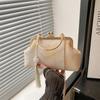 Nuevo Bolso de Mano Simple Casual de Moda de Un Solo Hombro Cadena de Moda Nicho Primavera 2025 Crossbody Concha Bolso de Mujer