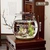 Aquário Sala de Estar Doméstica Aquário Transparente Plástico Espessado Aquário de Peixes Dourados Ornamental Ecológico Paisagístico Tanque Caixa de Armazenamento de Mesa