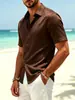 Camisa masculina de manga curta, estilo fino de verão, elasticidade em quatro direções, sem rugas, manga curta para negócios, camisa masculina solta e versátil
