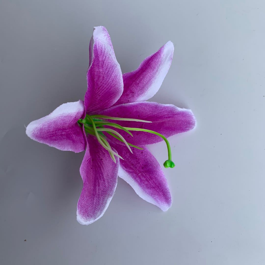 微信图片_202005081046059