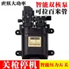 Bomba de Agua para Pulverizador Eléctrico 12V Bomba Autocebante Universal de Impulso Pistola de Corte Máquina de Paro Máquina de Aplicación de Pesticidas Bomba de Diafragma de 12 Voltios
