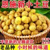 Patatas Ricas en Selenio de Enshi, Patatas de Alta Montaña, Patatas Frescas de Pulpa Amarilla, Cultivadas en Granja, Ecológicas, Saludables, Venta Directa en Amazon